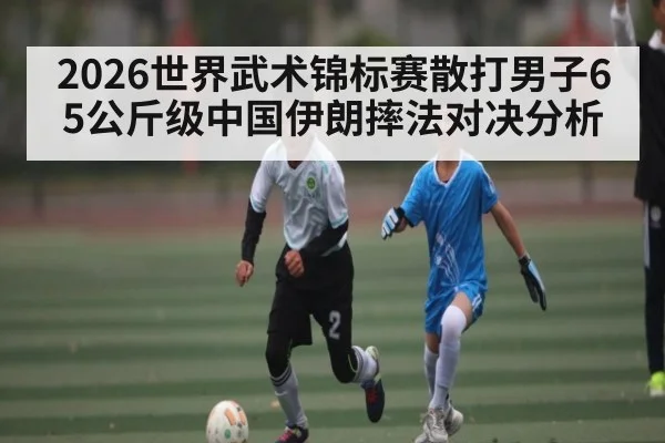 2026世界武术锦标赛散打男子65公斤级中国伊朗摔法对决分析